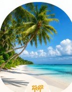 Stunning Islands in Lakshadweep
