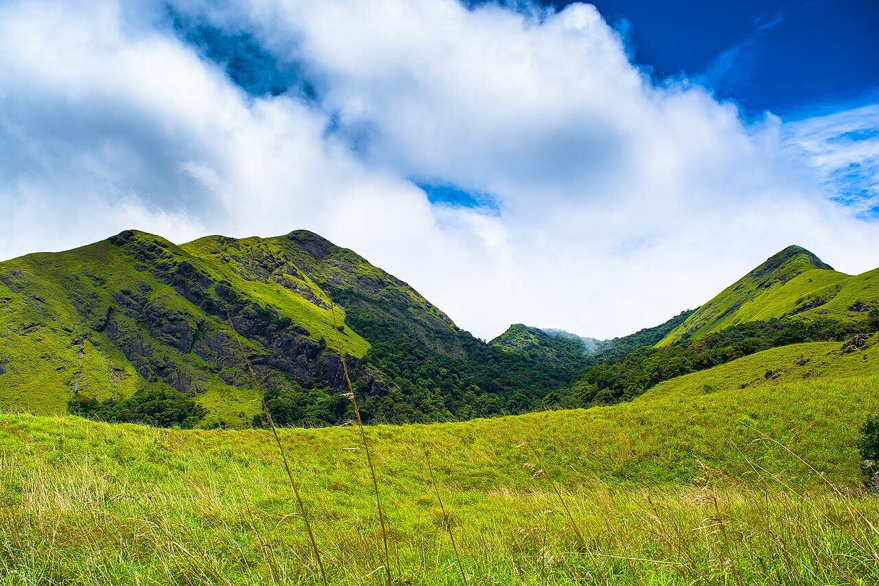 Wayanad Tour Package